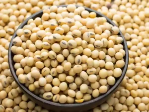 Soyabean