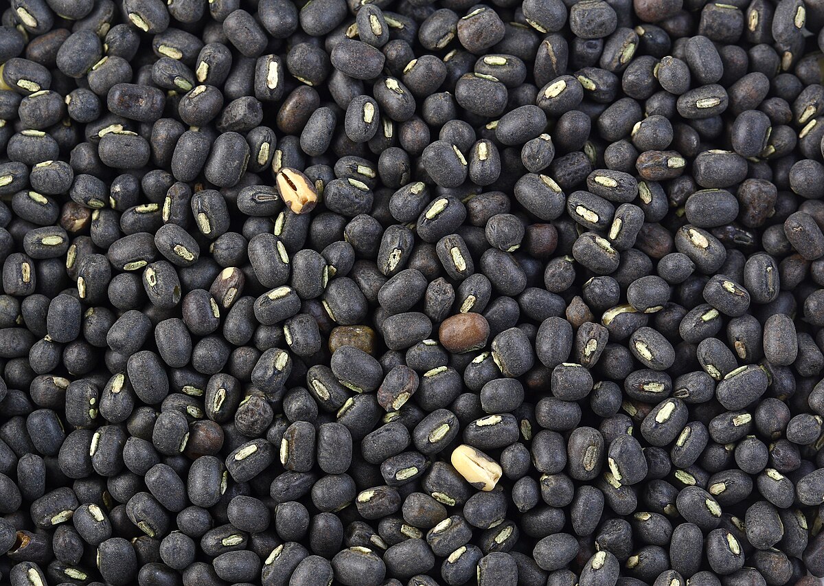 Urad Daal